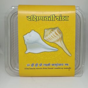 Dakshin varti shankh