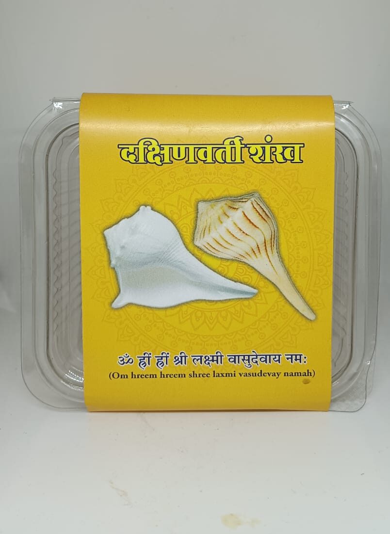 Dakshin varti shankh